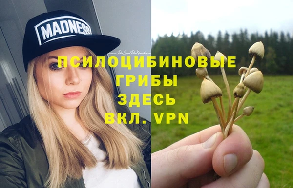 jwh Верхний Тагил