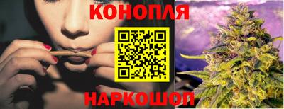 Альфа ПВП Обь