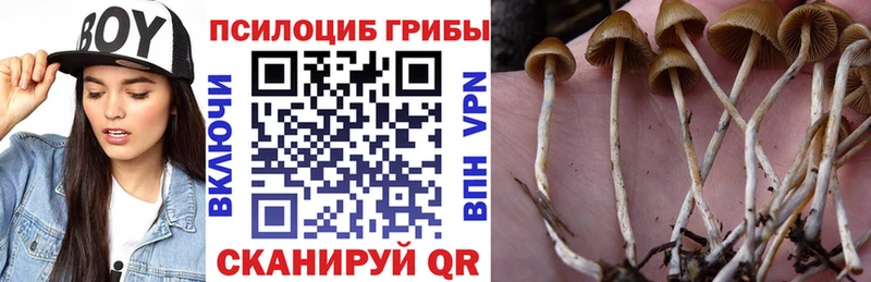 купить цена Мончегорск Галлюциногенные грибы ЛСД