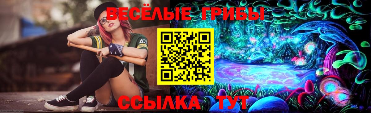 Галлюциногенные грибы мухоморы Мончегорск